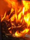 Ecosy Ottawa ECO Ecodesign wood stove in Brighton