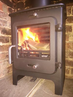 hove wood burners | ekol clarity 5 stove