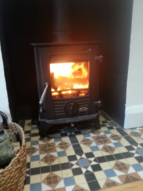 hove wood burners | henley druid 5 stove
